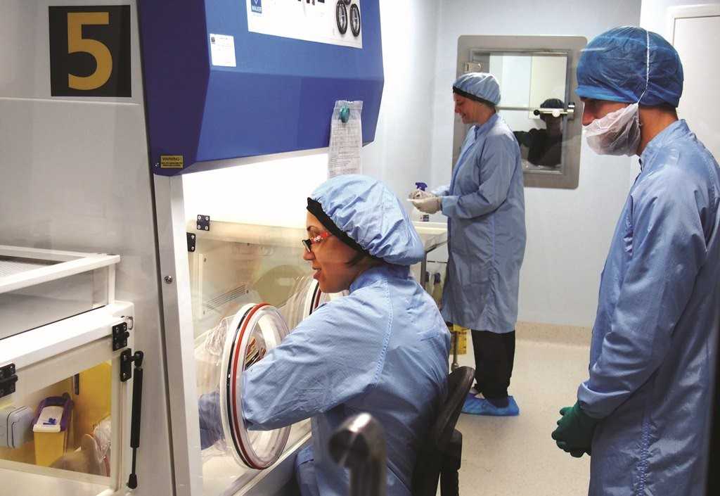 Group of people working together